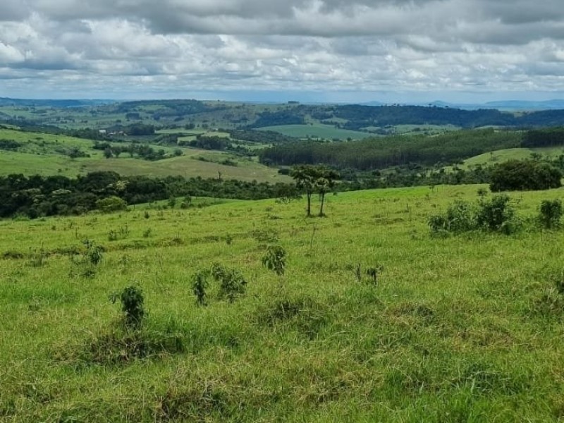 FAZENDA