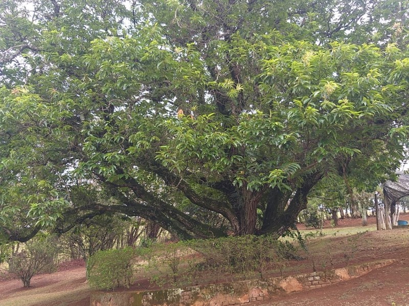 ÁREA COM LINDO LAGO