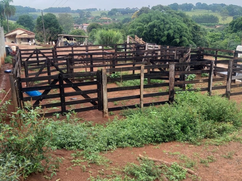 ÁREA COM PRODUÇÃO DE LEITE