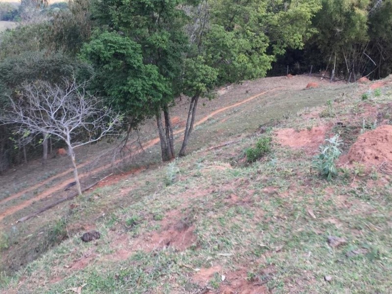 ÁREA C/ PASTO E MATA