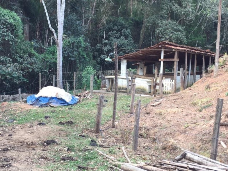 ÁREA C/ PASTO E MATA