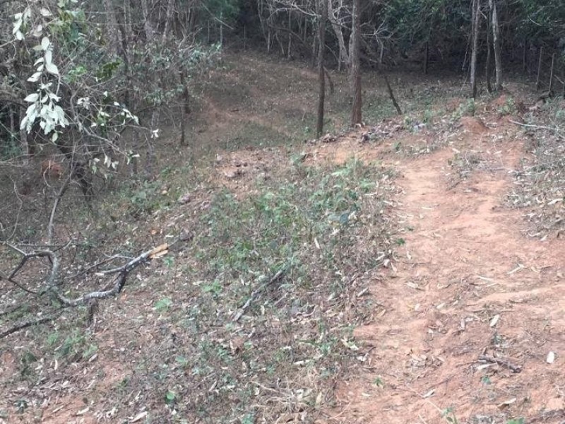 ÁREA C/ PASTO E MATA