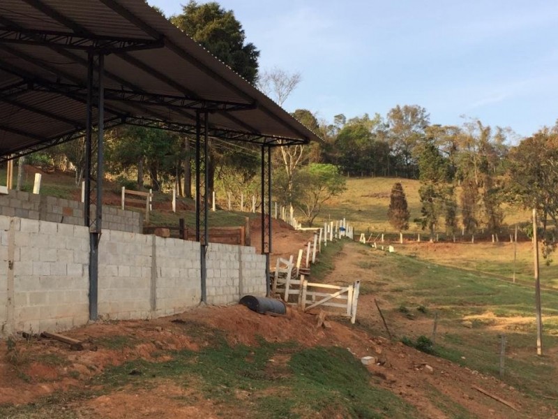 ÁREA C/ PASTO E MATA