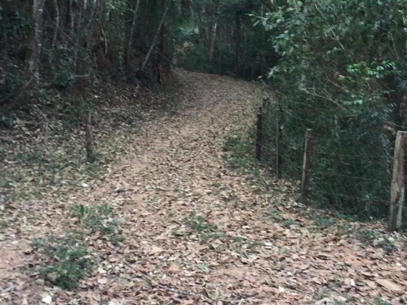 ÁREA C/ PASTO E MATA