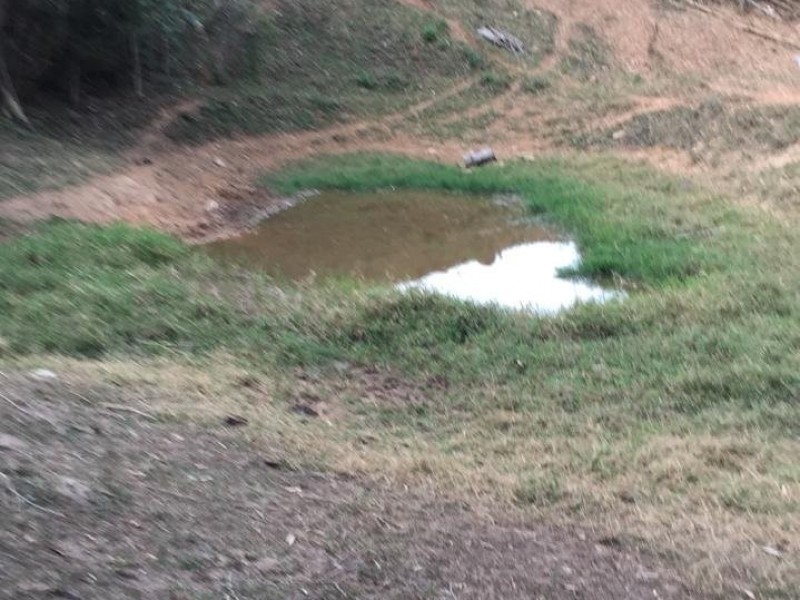 ÁREA C/ PASTO E MATA