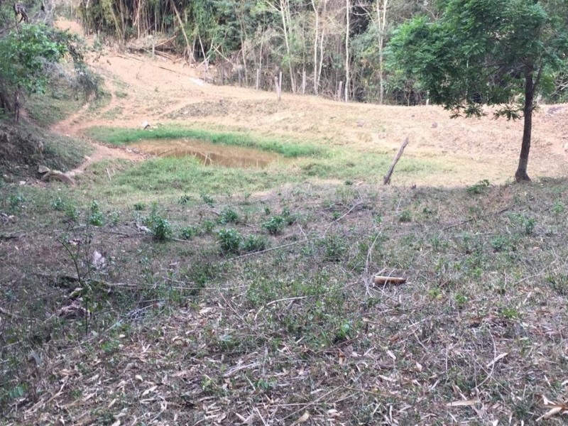 ÁREA C/ PASTO E MATA