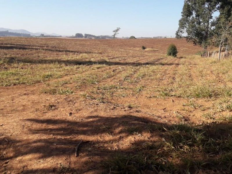 ÁREA COM CASA CENTENARIA