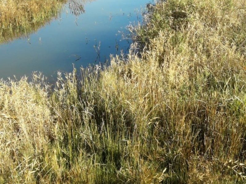 ÁREA COM CASA CENTENARIA