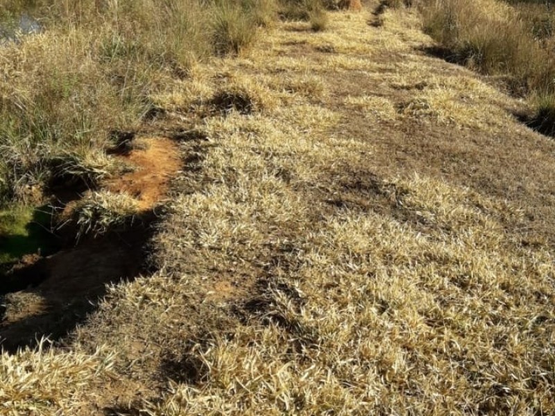 ÁREA COM CASA CENTENARIA