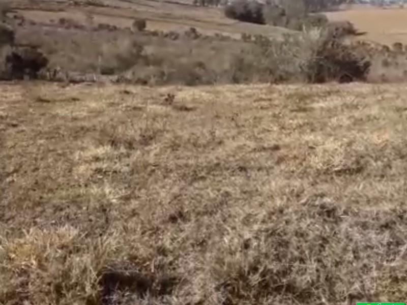 ÁREA COM CASA CENTENARIA