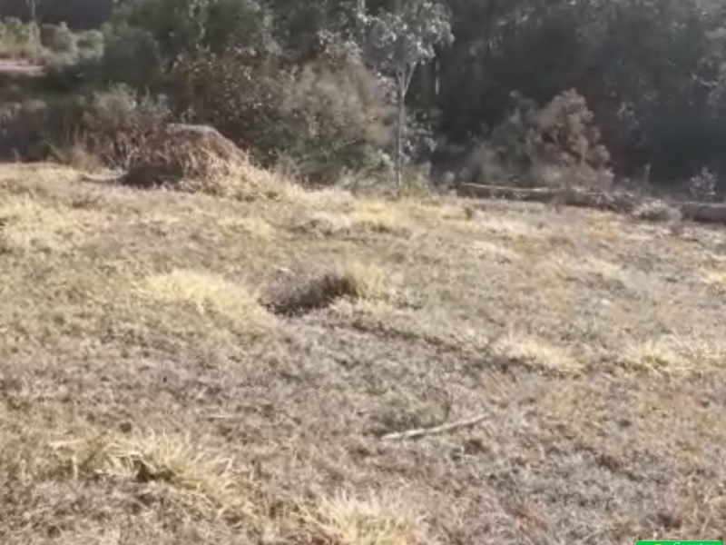 ÁREA COM CASA CENTENARIA