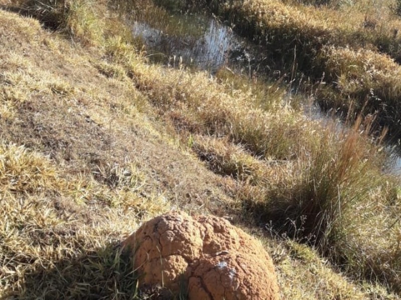 ÁREA COM CASA CENTENARIA