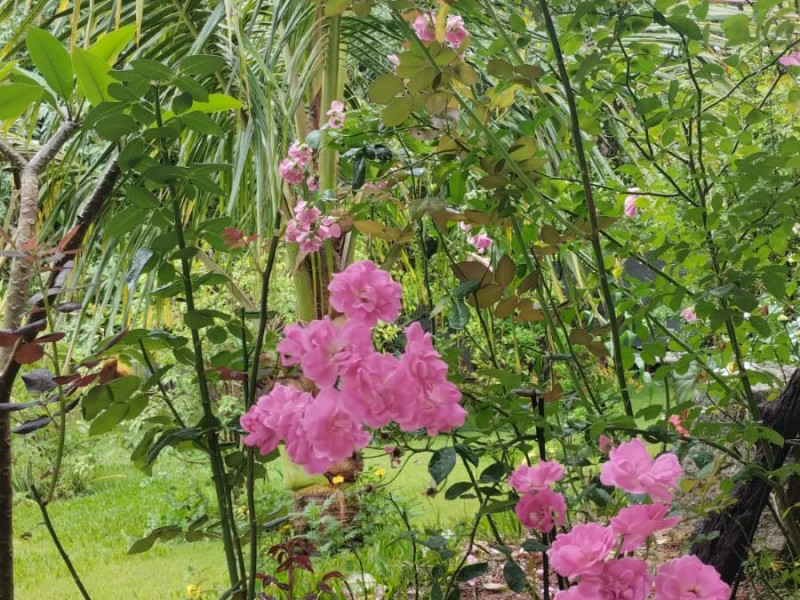 LINDA CHÁCARA PRONTA P/ MORADIA