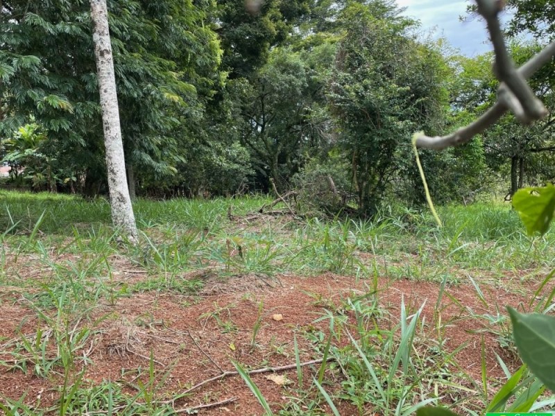 Terreno com área de 500m²