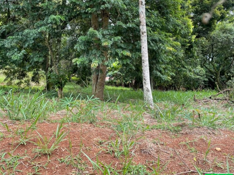 Terreno com área de 500m²