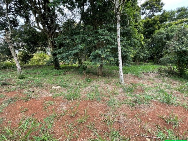 Terreno com área de 500m²
