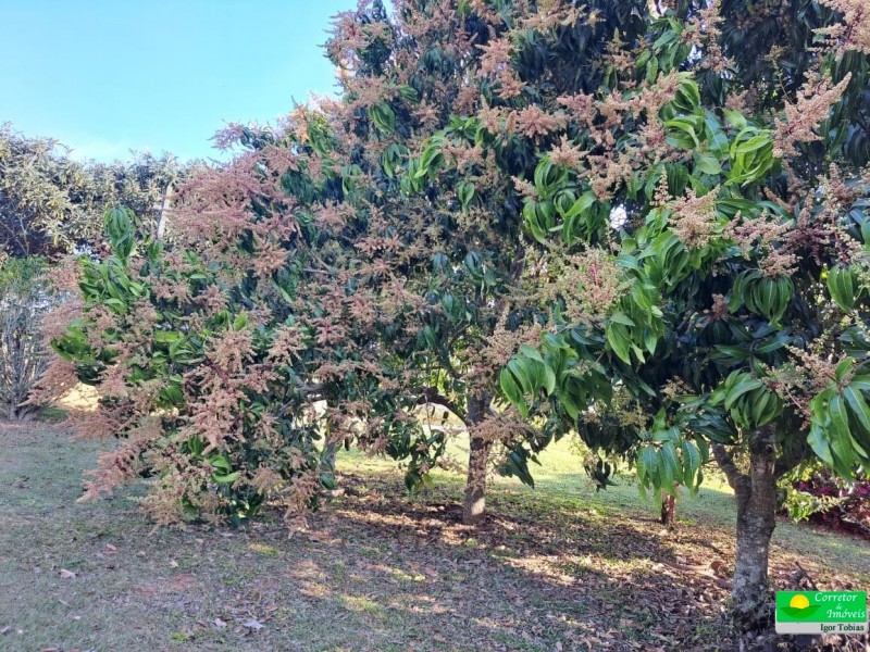 LINDA ÁREA RURAL ABAIXO DO MERCADO