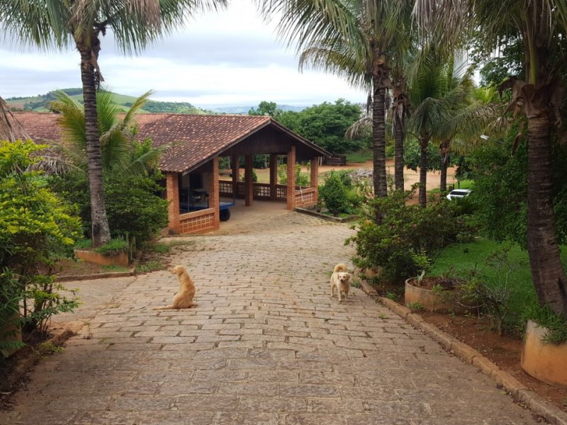 VENDIDO VENDIDO 