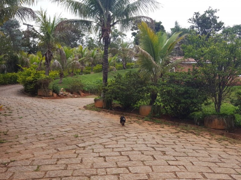 VENDIDO VENDIDO 