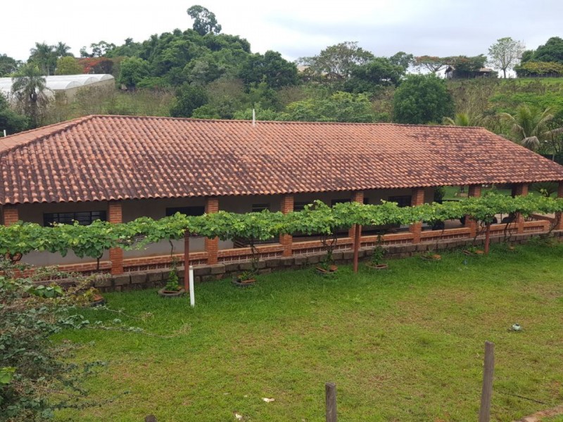 VENDIDO VENDIDO 