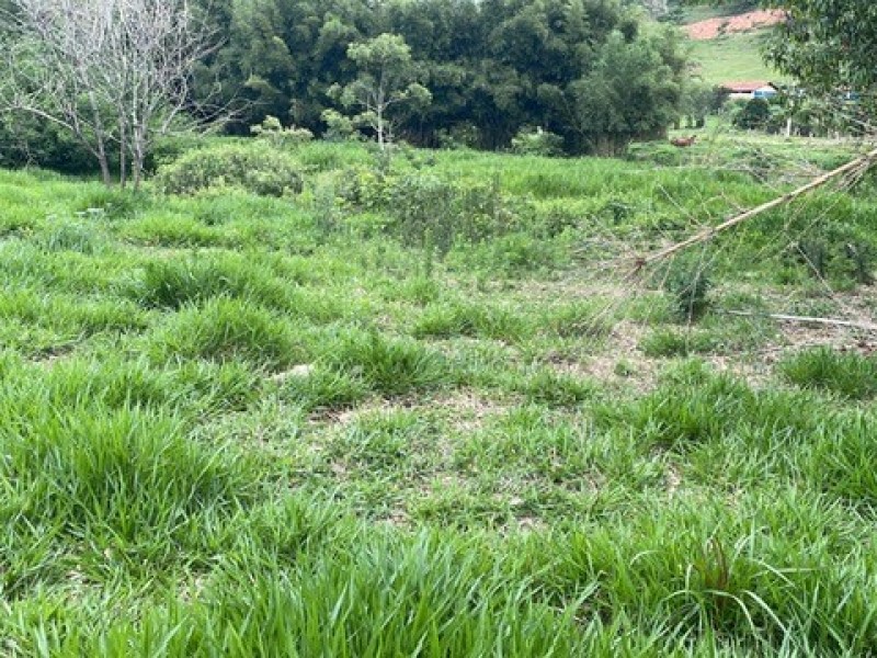 SITIO ESTUFA