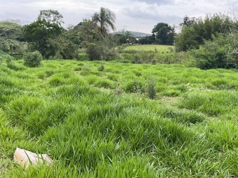 SITIO ESTUFA