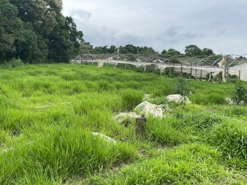 SITIO ESTUFA