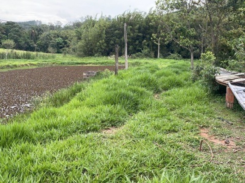 SITIO ESTUFA