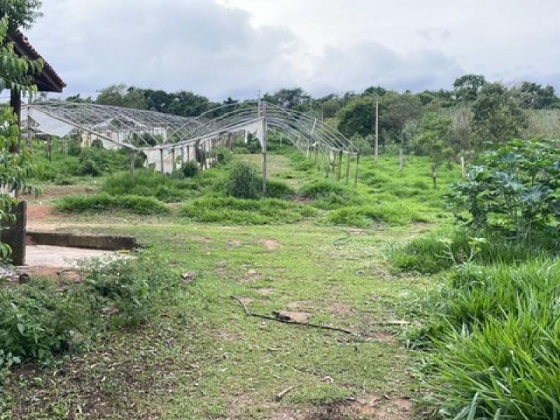 SITIO ESTUFA