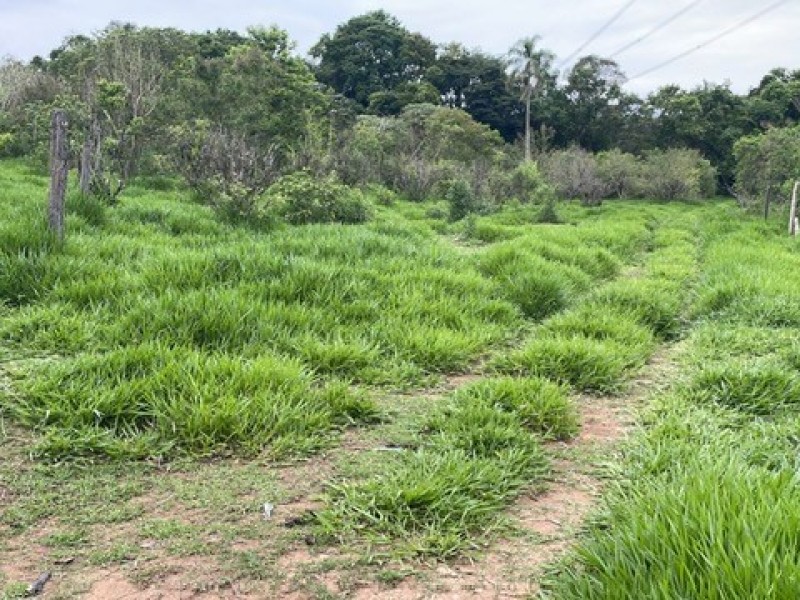 SITIO ESTUFA