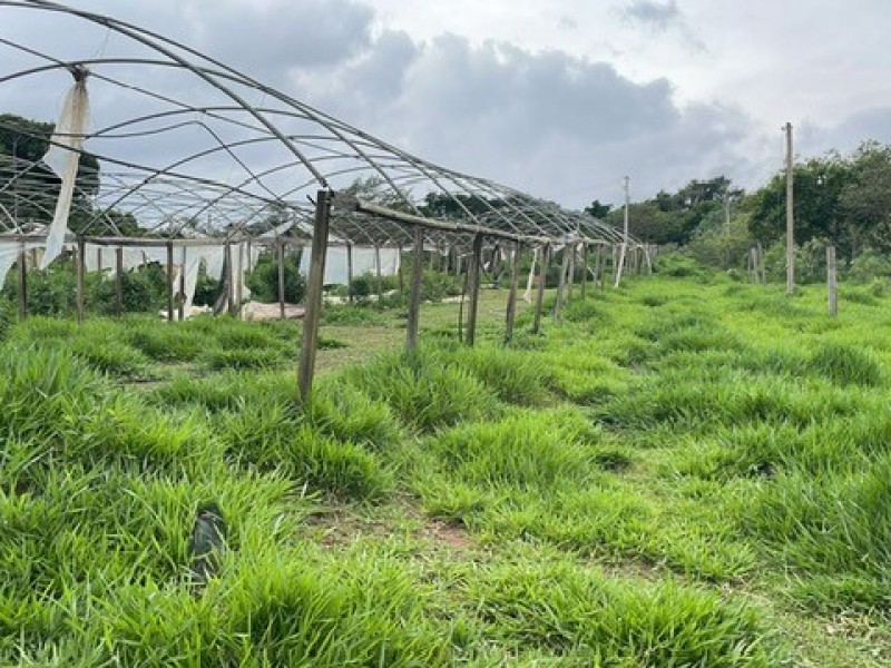 SITIO ESTUFA