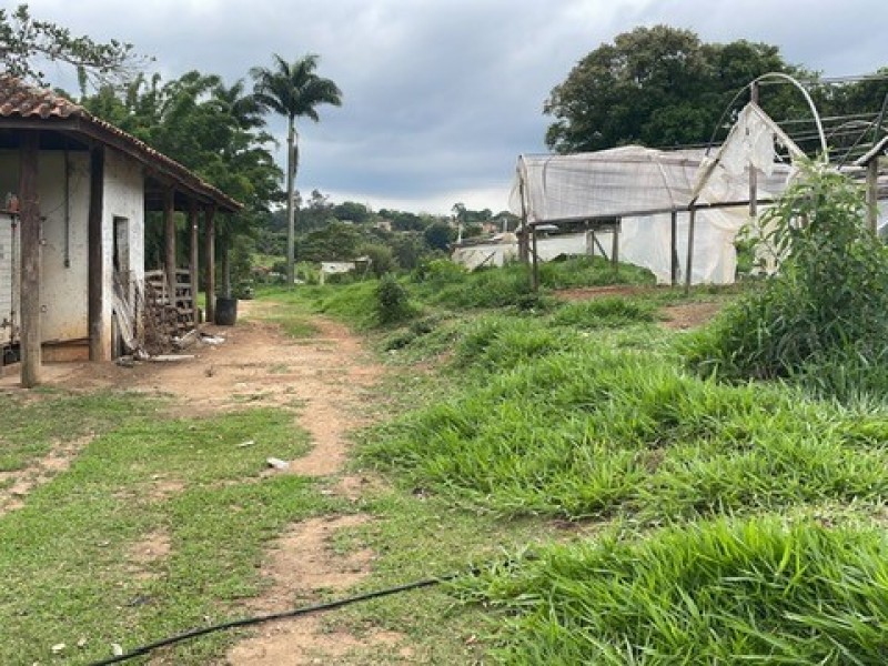 SITIO ESTUFA