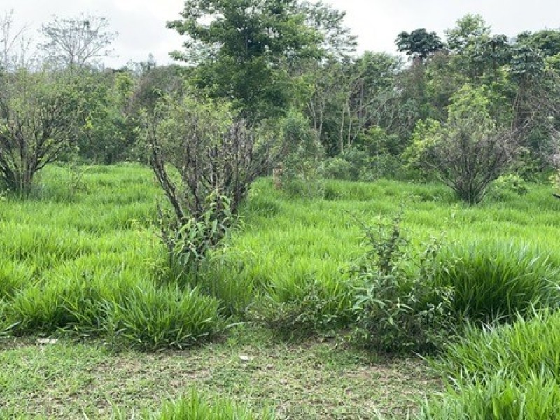 SITIO ESTUFA