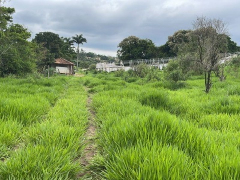 SITIO ESTUFA