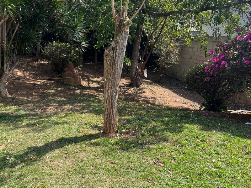 TERRENO COMERCIAL + PISCINA