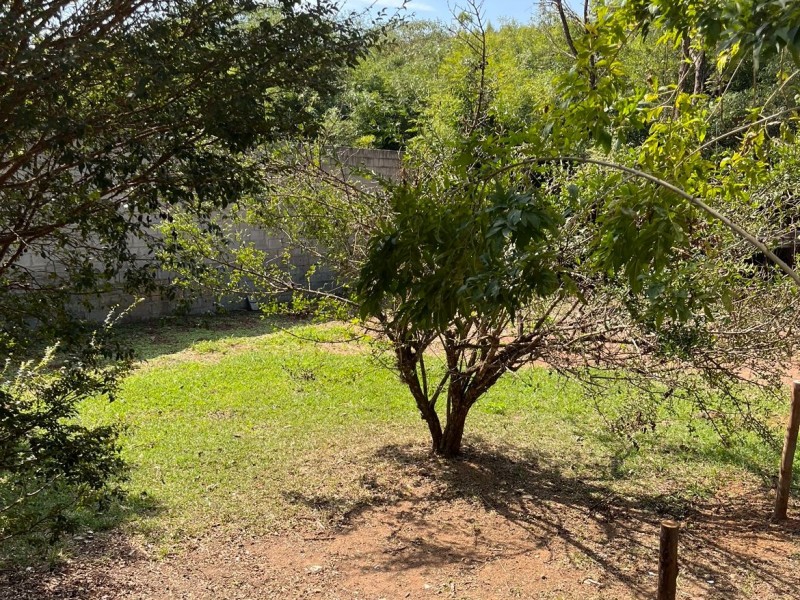 TERRENO COMERCIAL + PISCINA