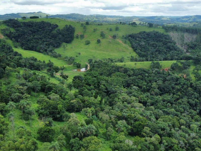LINDA ÁREA NUA