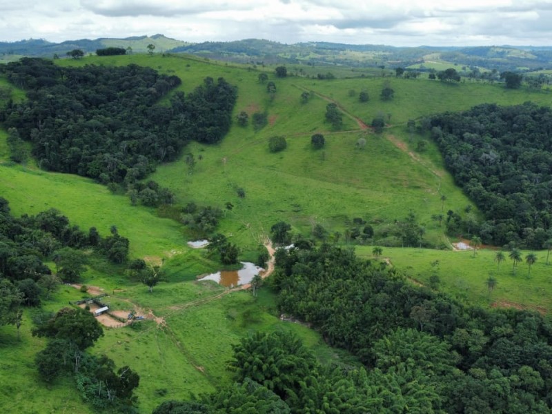 LINDA ÁREA NUA