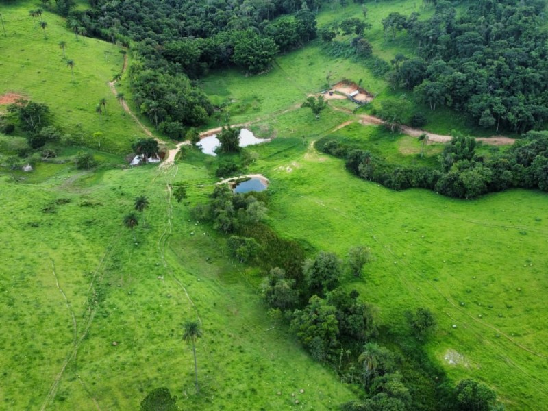 LINDA ÁREA NUA