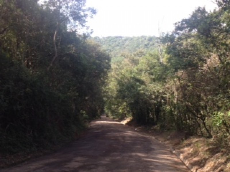 ÁREA RURAL + 3 MATRÍCULAS 