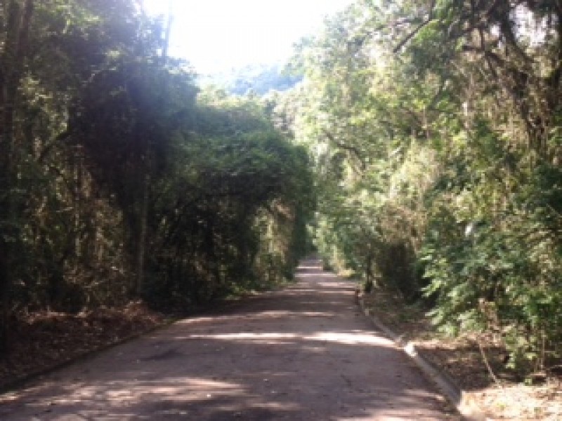 ÁREA RURAL + 3 MATRÍCULAS 