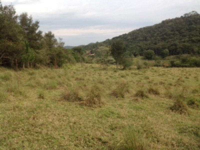 ÁREA RURAL + 3 MATRÍCULAS 