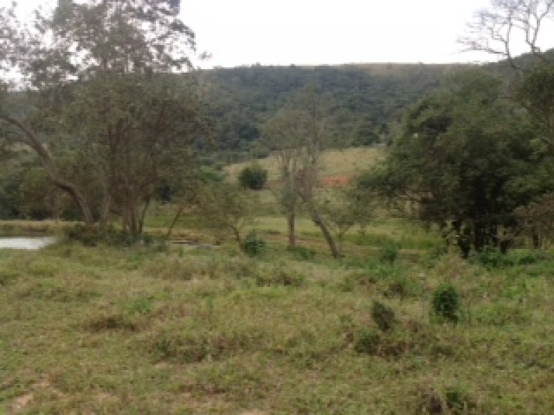 ÁREA RURAL + 3 MATRÍCULAS 