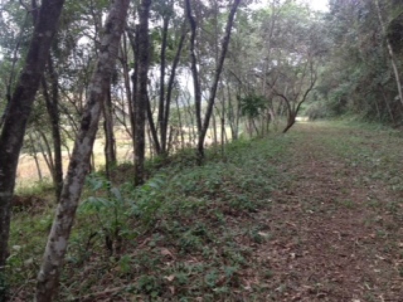 ÁREA RURAL + 3 MATRÍCULAS 