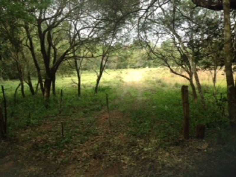 ÁREA RURAL + 3 MATRÍCULAS 