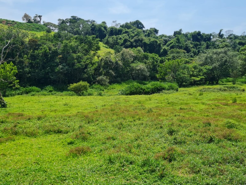 VENDA PAUSADA
