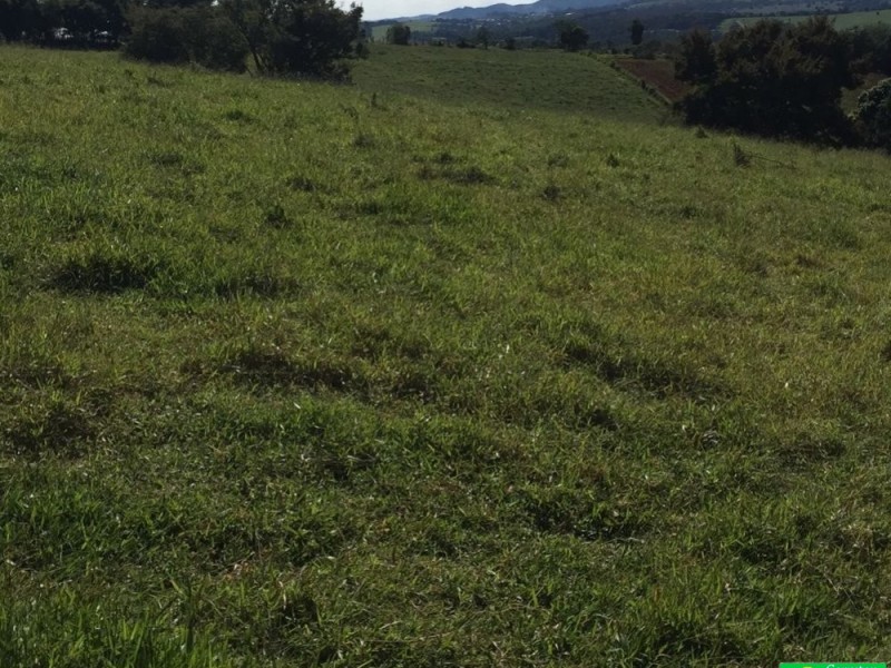 ÁREA 12.300M2 REGIÃO NOBRE 