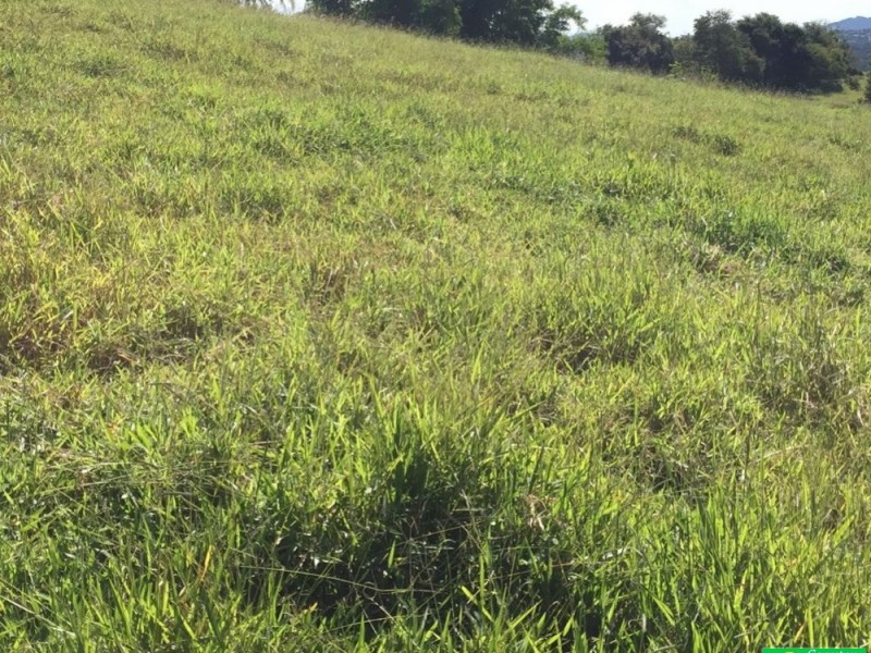 ÁREA 12.300M2 REGIÃO NOBRE 