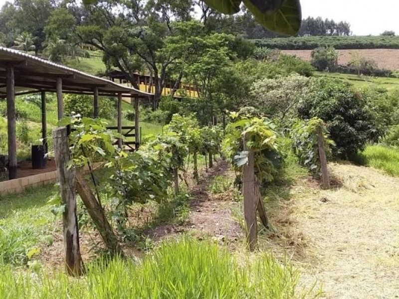 ÁREA RURAL LOCALIZAÇÃO NOBRE