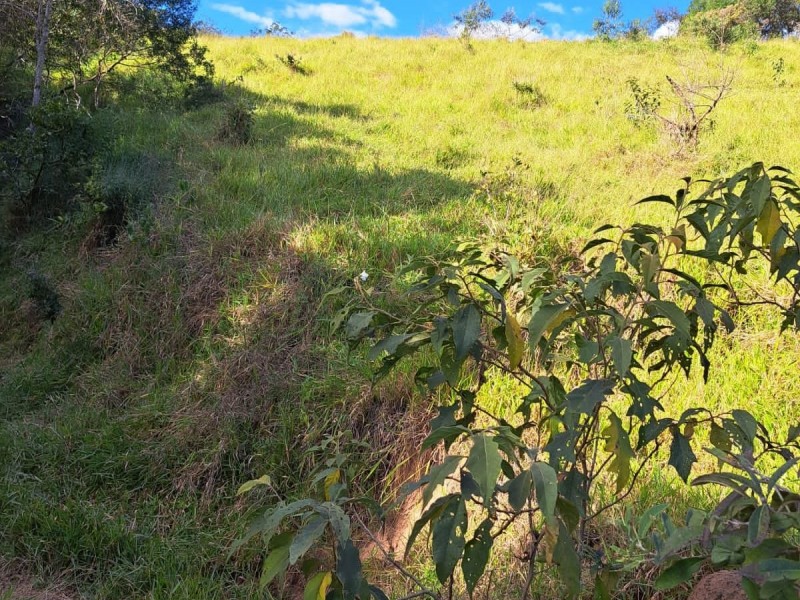 FAZENDA COLONIAL